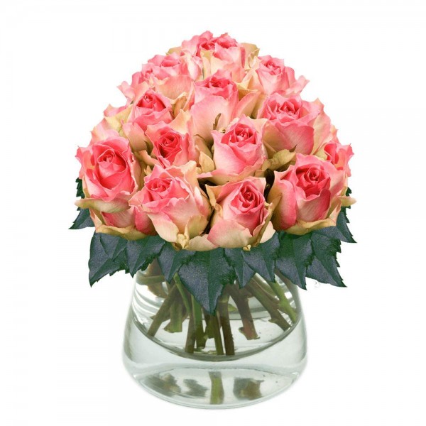 GlobalRose 200 Fresh Cut Light Creamy Pink Roses - Michelle Roses - Fresh Flowers Wholesale Express Delivery